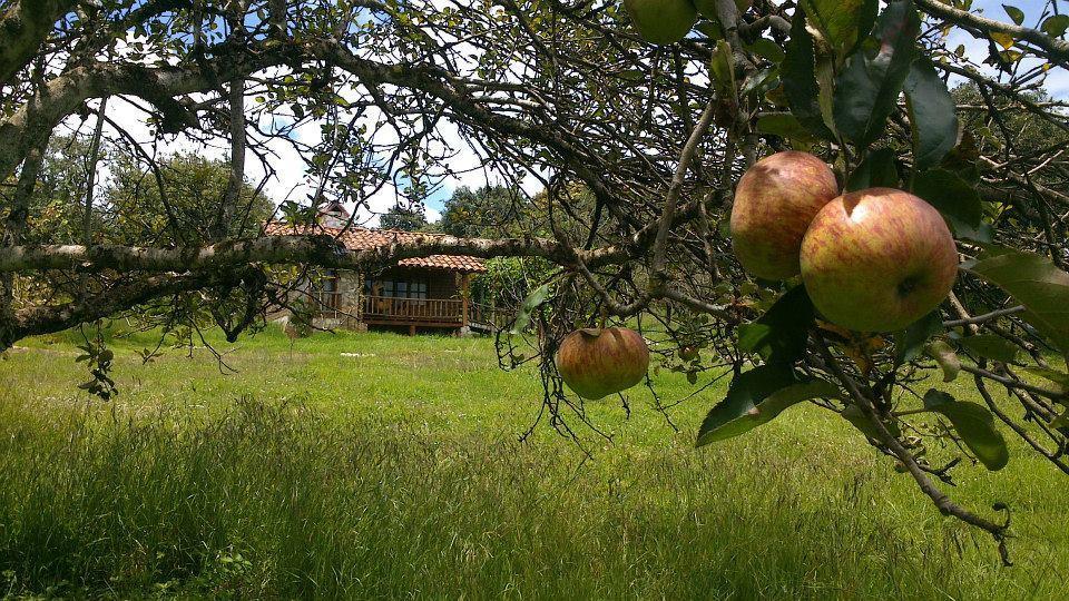 Villa La Tierra Grande Zacatlán Esterno foto